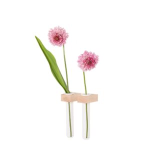 Figr1 Wooden Wall Containers 2x Hard Maple